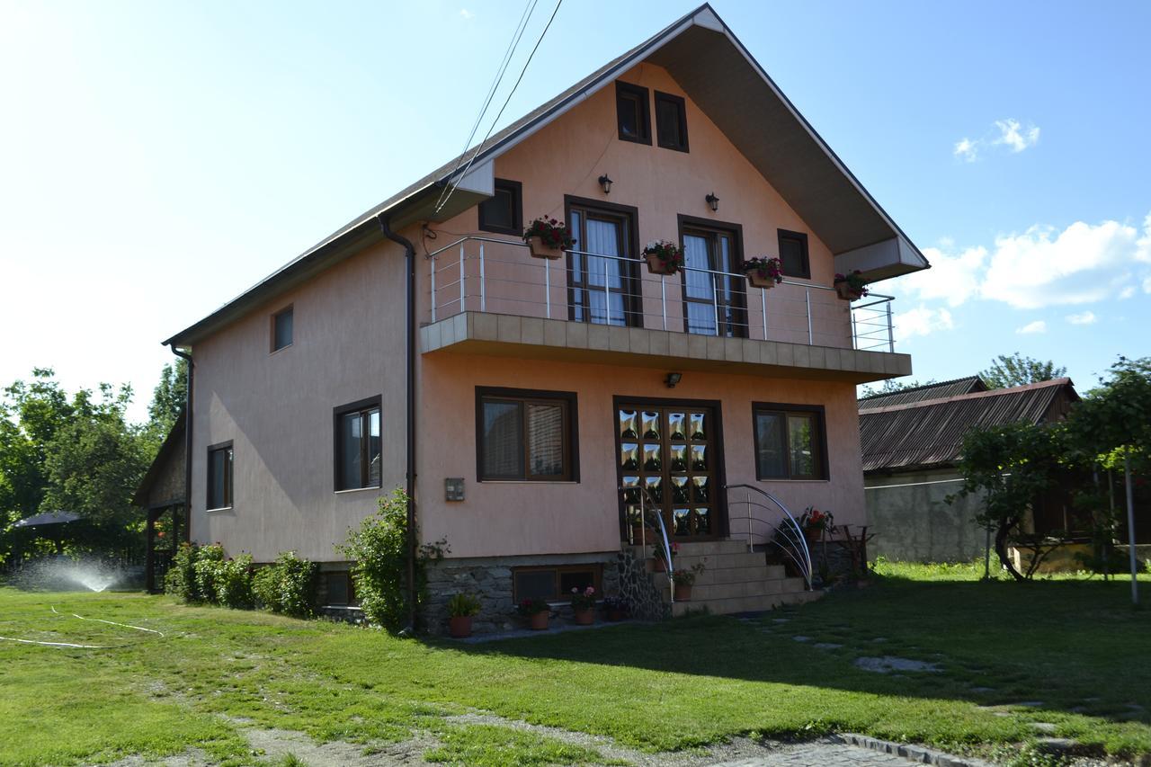 Pensiunea Balea Sat Cîrţişoara Kültér fotó