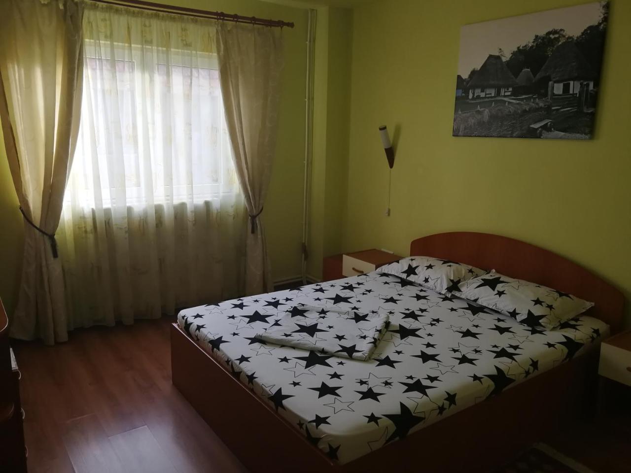Pensiunea Balea Sat Cîrţişoara Kültér fotó